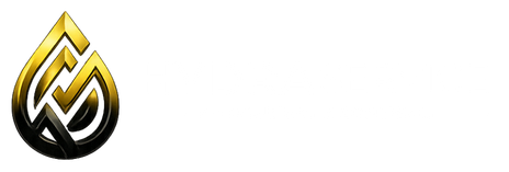 Hydraservice Logo